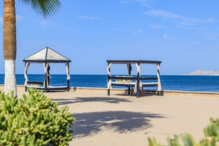 5 Reasons To Visit Puerto Peñasco Gray Line Bus Rentals