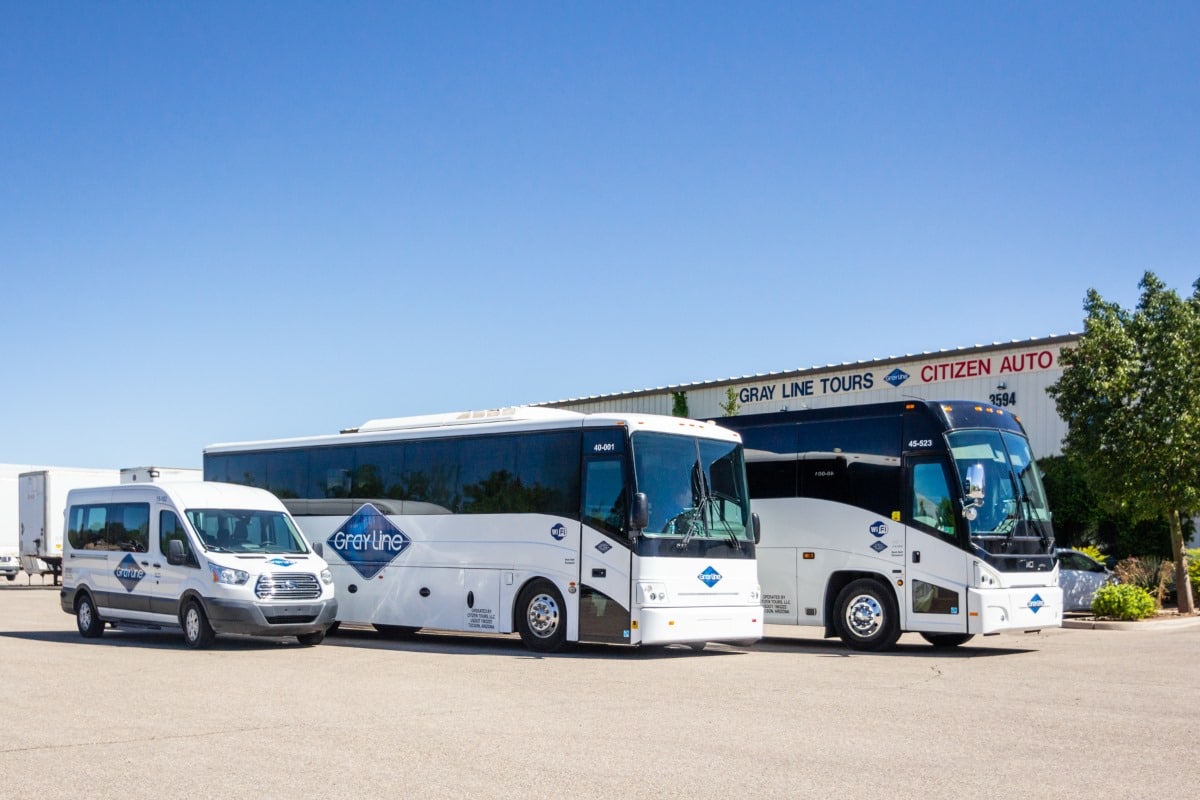 line of tour buses