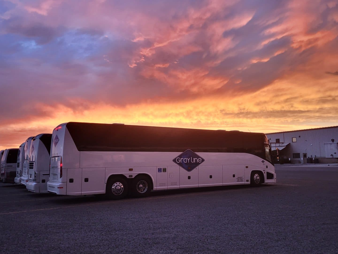 Experience The Beauty of the Southwest with Arizona Charter Bus Trips 