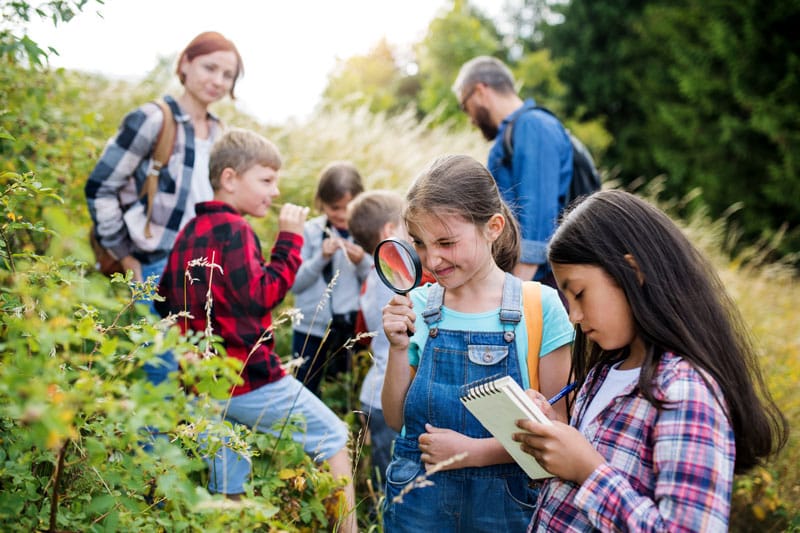 gray line school trip bus charters