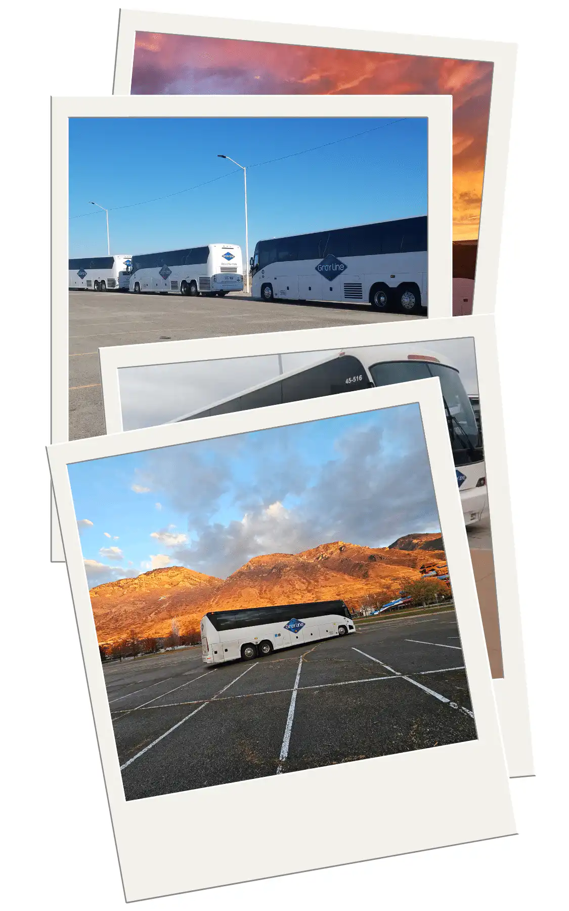 private bus transportation in phoenix arizona