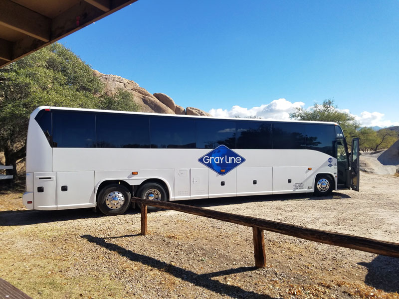 Group Travel: Charter Buses for College Festivals