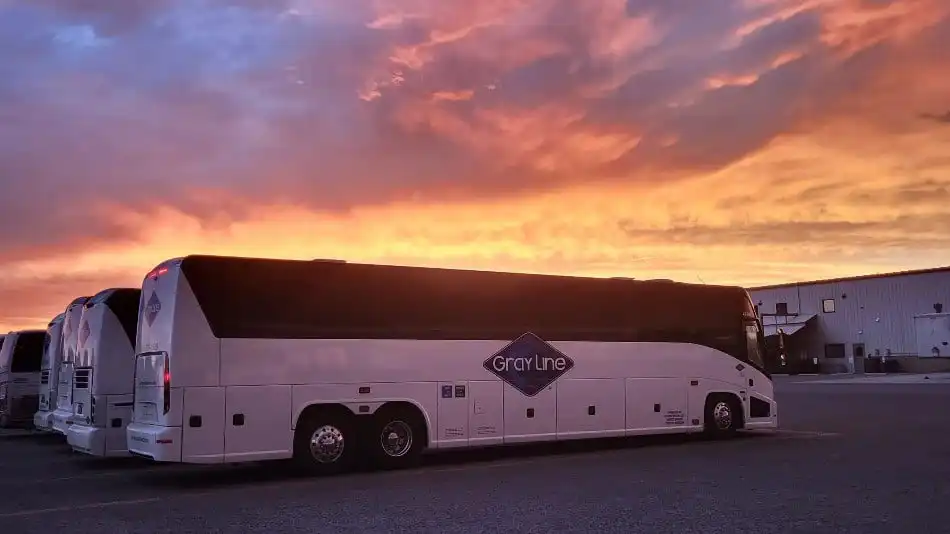 charter bus for field trip