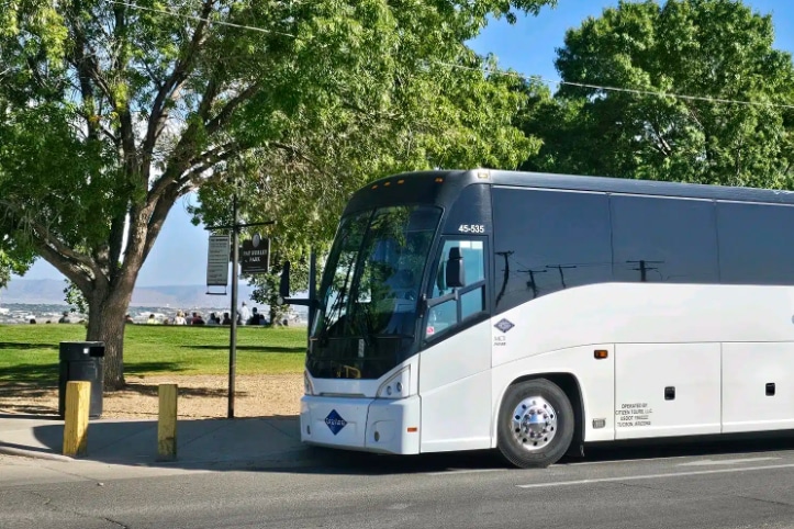 a white bus parked beside the road