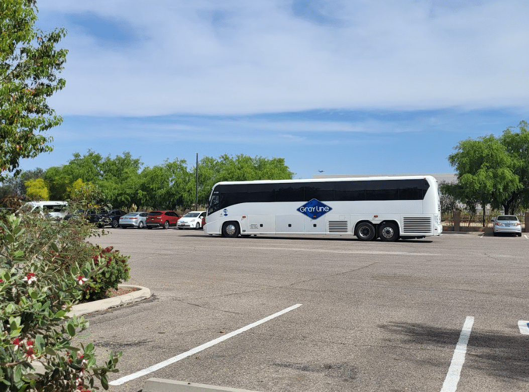 Gray Line bus parked in a lot with trees and blue skies, ideal for Bus Rentals in Phoenix, AZ.