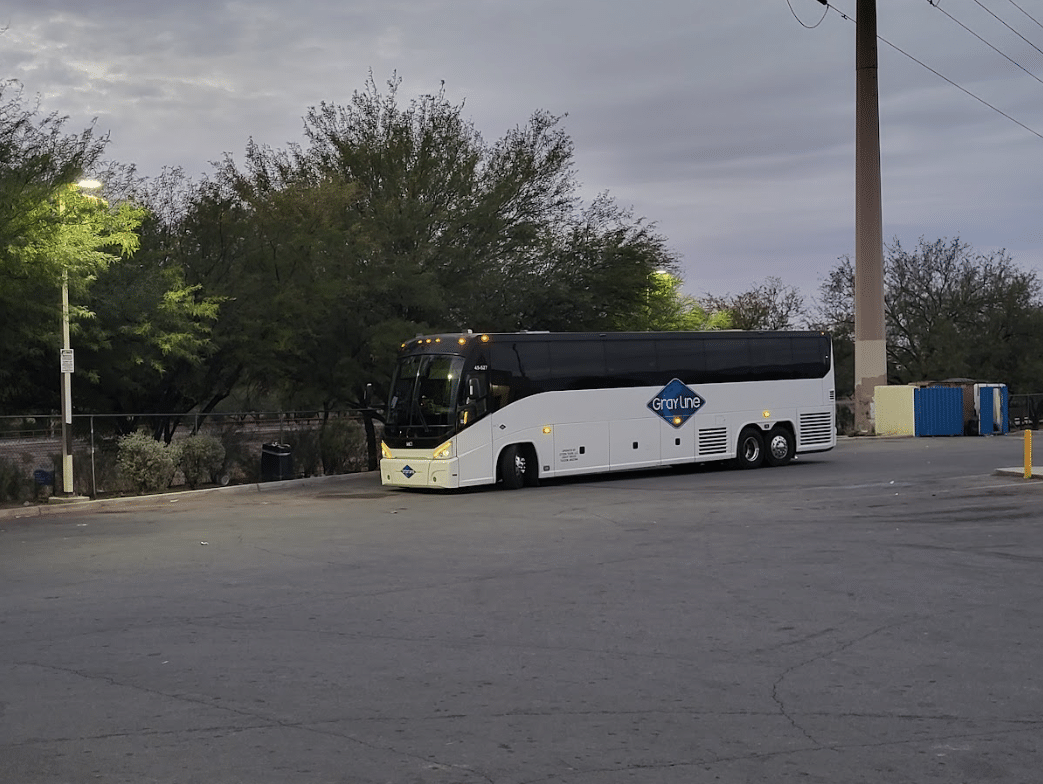 Gray Line bus parked in a lot surrounded by desert foliage, perfect for a Charter Bus Rental to ArtWalk.