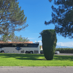 Experience the Desert Beauty of Phoenix’s Botanical Garden: A Transportation Guide