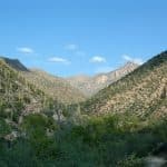 Enjoy Group Birdwatching & Tours at Sabino Canyon in Tucson, AZ – Rent a Charter Bus