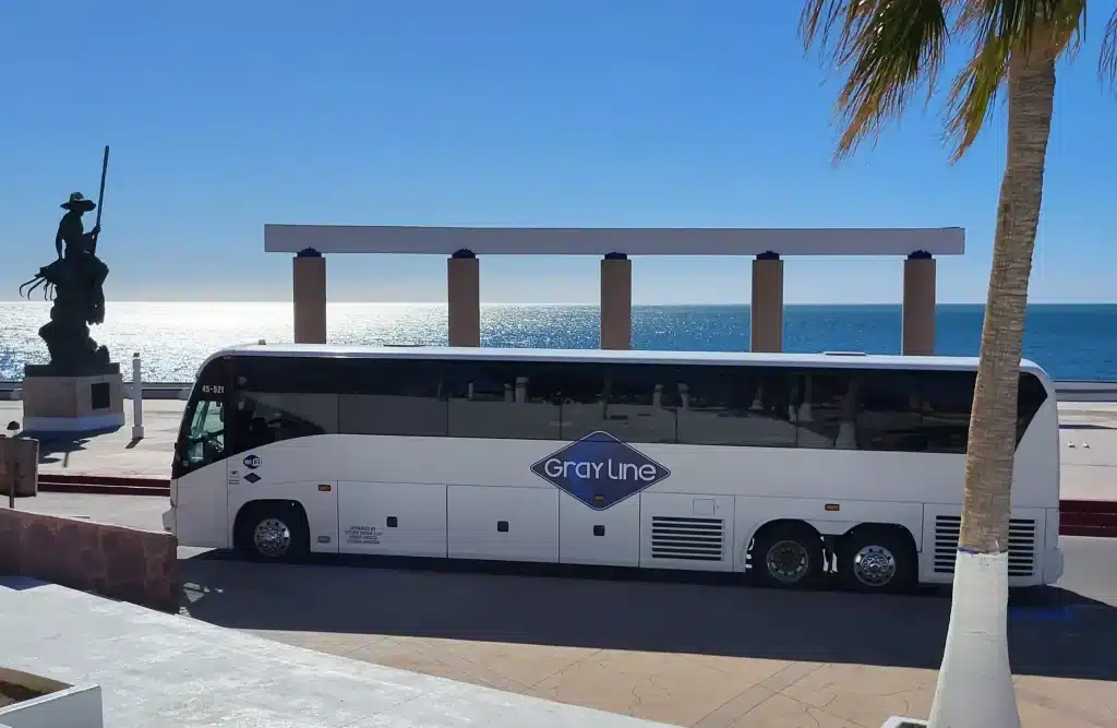 Why Tucson Event Planners Choose Gray Line Charter Bus Rentals for Gatherings